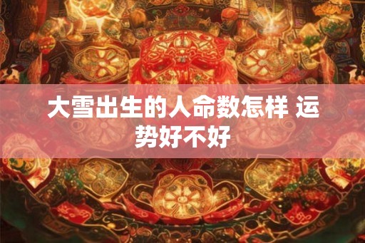 大雪出生的人命数怎样 运势好不好