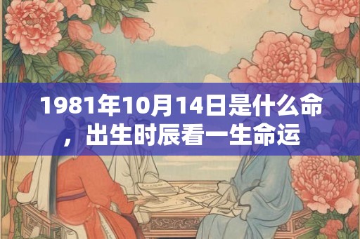 1981年10月14日是什么命，出生时辰看一生命运