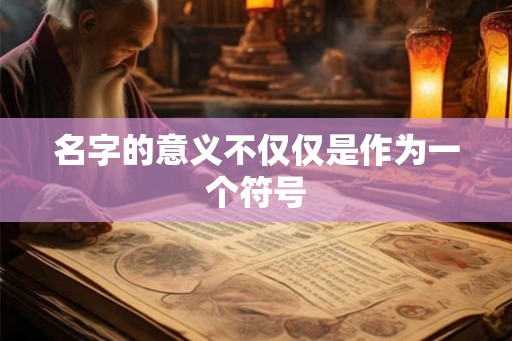 名字的意义不仅仅是作为一个符号 名字的意义不仅仅是作为一个符号