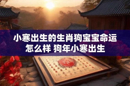 小寒出生的生肖狗宝宝命运怎么样 狗年小寒出生 小寒出生的生肖狗宝宝命运怎么样 狗年小寒出生