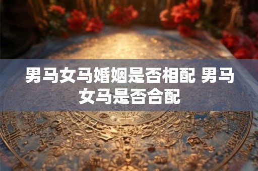 男马女马婚姻是否相配 男马女马是否合配 男马女马婚姻是否相配 男马女马是否合配