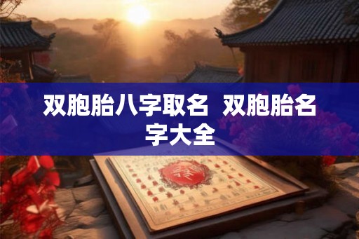 双胞胎八字取名  双胞胎名字大全