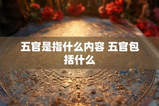 五官是指什么内容 五官包括什么