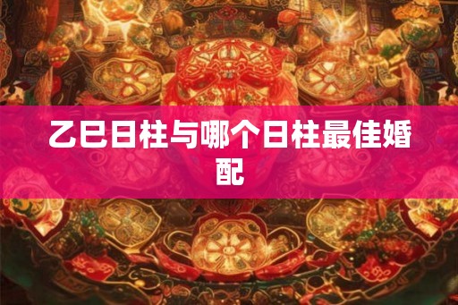 乙巳日柱与哪个日柱最佳婚配