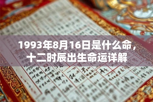 1993年8月16日是什么命，十二时辰出生命运详解