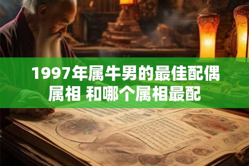 1997年属牛男的最佳配偶属相 和哪个属相最配