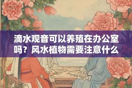 滴水观音可以养殖在办公室吗？风水植物需要注意什么？