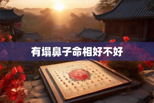 有塌鼻子命相好不好