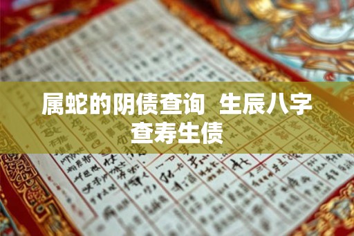 属蛇的阴债查询  生辰八字查寿生债