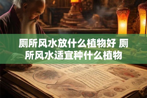 厕所风水放什么植物好 厕所风水适宜种什么植物