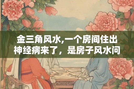金三角风水,一个房间住出神经病来了，是房子风水问题吗？