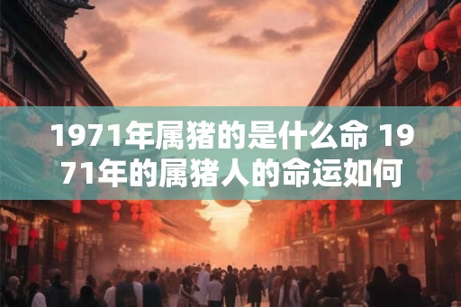 1971年属猪的是什么命 1971年的属猪人的命运如何