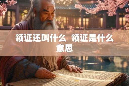 领证还叫什么  领证是什么意思