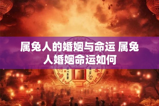 属兔人的婚姻与命运 属兔人婚姻命运如何