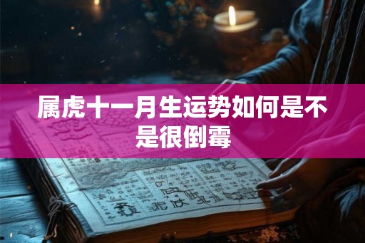 属虎十一月生运势如何是不是很倒霉