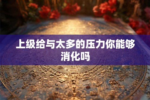 上级给与太多的压力你能够消化吗
