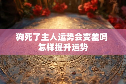 狗死了主人运势会变差吗 怎样提升运势