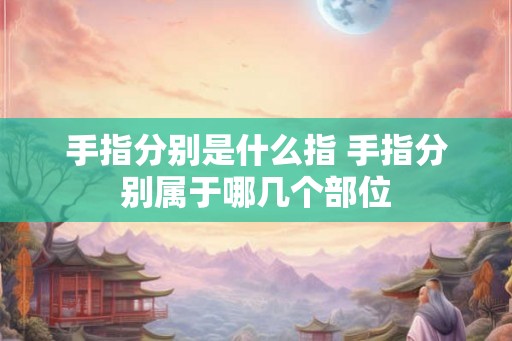 手指分别是什么指 手指分别属于哪几个部位 手指分别是什么指 手指分别属于哪几个部位