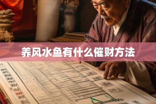养风水鱼有什么催财方法