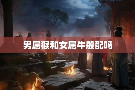 男属猴和女属牛般配吗