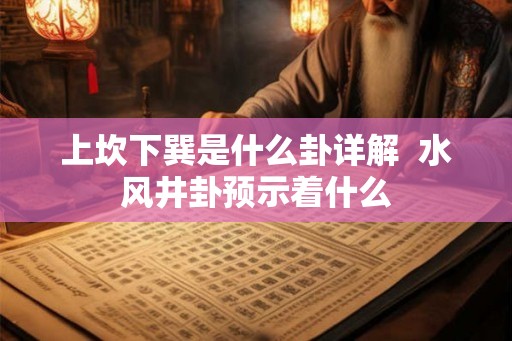 上坎下巽是什么卦详解  水风井卦预示着什么