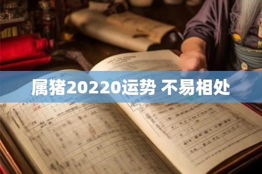 属猪20220运势 不易相处 属猪20220运势 不易相处