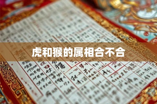 虎和猴的属相合不合