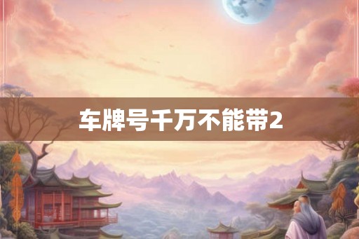 车牌号千万不能带2 车牌号千万不能带2