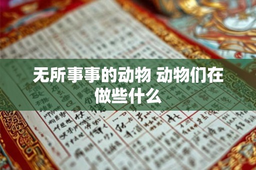 无所事事的动物 动物们在做些什么