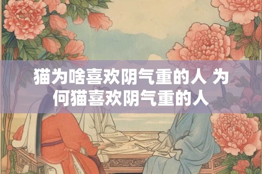 猫为啥喜欢阴气重的人 为何猫喜欢阴气重的人 猫为啥喜欢阴气重的人 为何猫喜欢阴气重的人