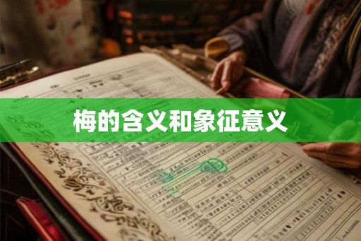 梅的含义和象征意义