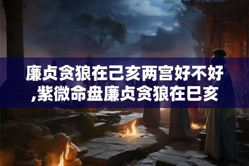 廉贞贪狼在己亥两宫好不好,紫微命盘廉贞贪狼在巳亥宫详解