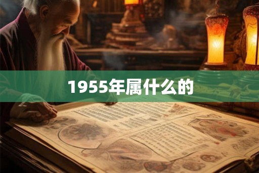 1955年属什么的