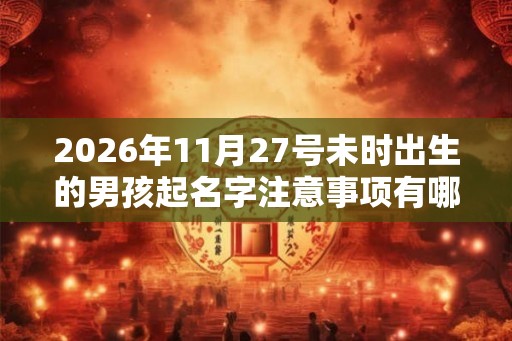 2026年11月27号未时出生的男孩起名字注意事项有哪些