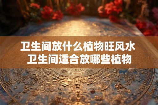 卫生间放什么植物旺风水 卫生间适合放哪些植物
