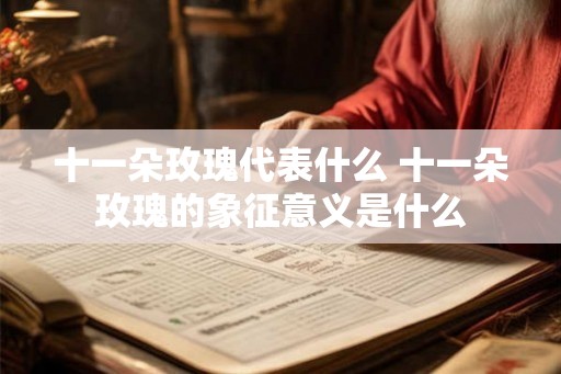 十一朵玫瑰代表什么 十一朵玫瑰的象征意义是什么