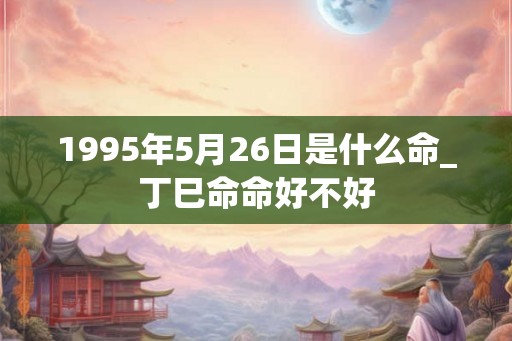 1995年5月26日是什么命_丁巳命命好不好