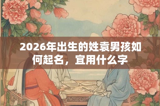 2026年出生的姓袁男孩如何起名,宜用什么字 2026年出生的姓袁男孩如何起名,宜用什么字
