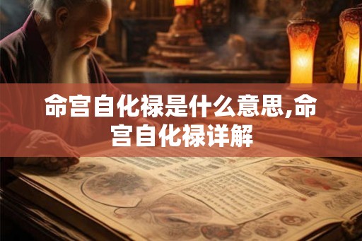 命宫自化禄是什么意思,命宫自化禄详解