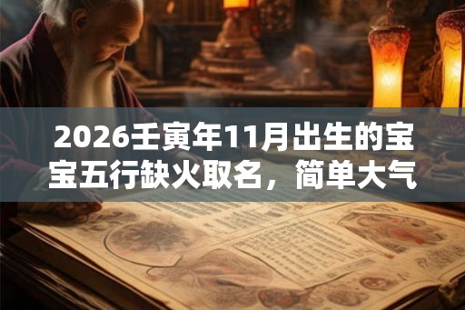 2026壬寅年11月出生的宝宝五行缺火取名，简单大气的名字