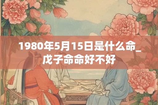 1980年5月15日是什么命_戊子命命好不好