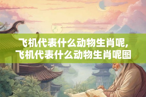 飞机代表什么动物生肖呢,飞机代表什么动物生肖呢图片 飞机代表什么动物生肖呢,飞机代表什么动物生肖呢图片