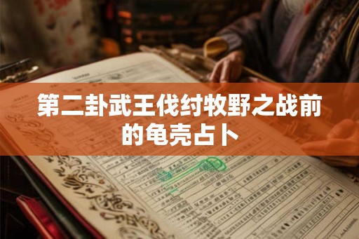 第二卦武王伐纣牧野之战前的龟壳占卜