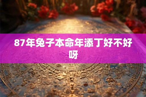 87年兔子本命年添丁好不好呀