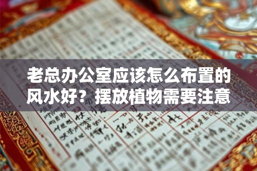 老总办公室应该怎么布置的风水好？摆放植物需要注意什么吗？