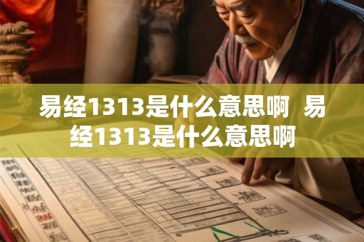 易经1313是什么意思啊  易经1313是什么意思啊