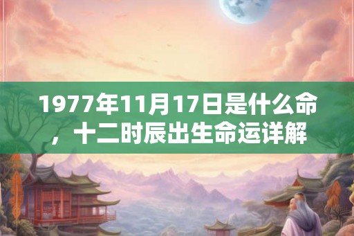 1977年11月17日是什么命，十二时辰出生命运详解