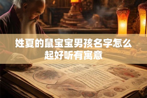 姓夏的鼠宝宝男孩名字怎么起好听有寓意