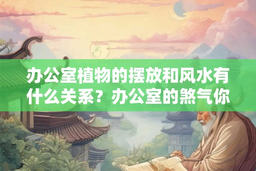 办公室植物的摆放和风水有什么关系？办公室的煞气你知道几个？