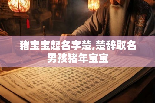 猪宝宝起名字楚,楚辞取名男孩猪年宝宝